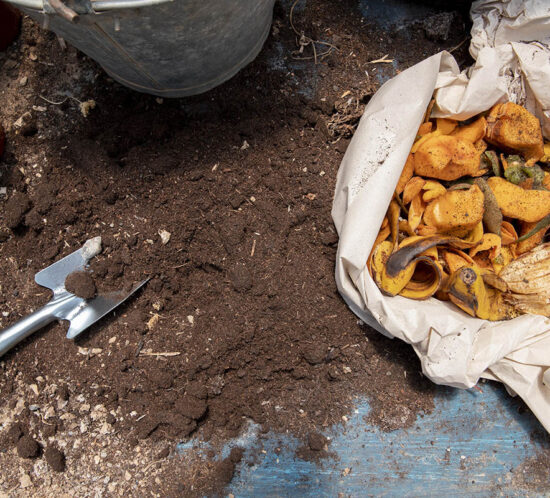 Compost para huerto comunitario